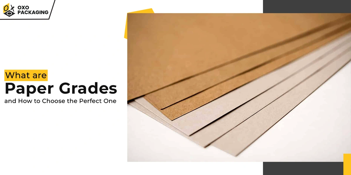 What are Paper Grades and How to Choose the Perfect One What are Paper Grades and How to Choose the Perfect One