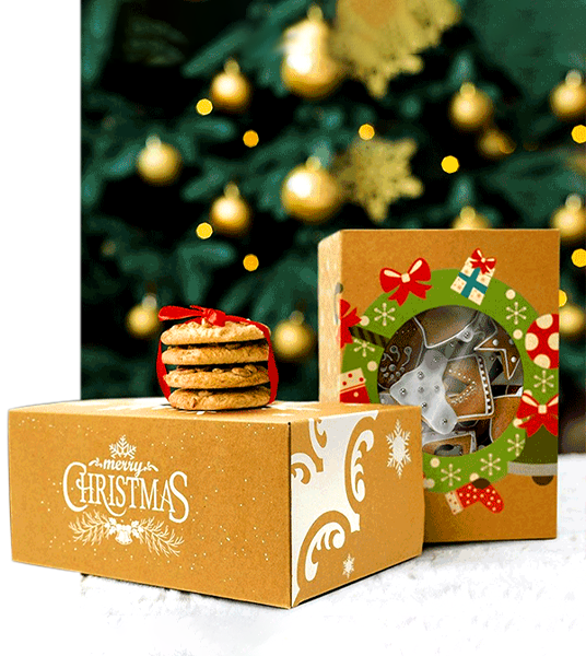 christmas treat packaging boxes