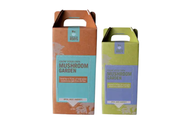 Mushroom Packaging section 2