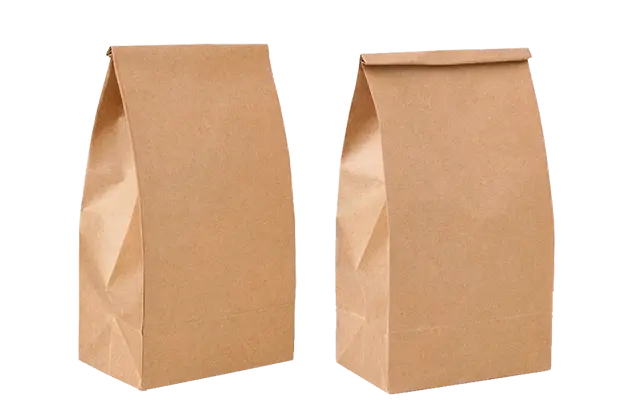 brown paper bag section 2