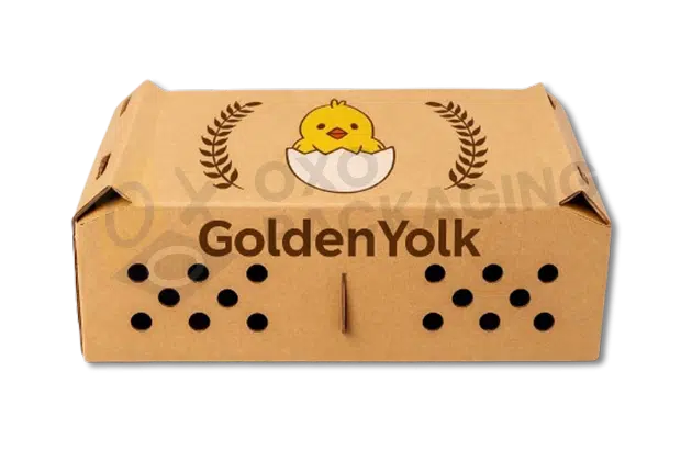 chick boxes in affordable price