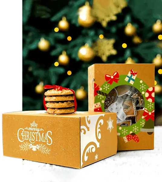 christmas treat packaging boxes