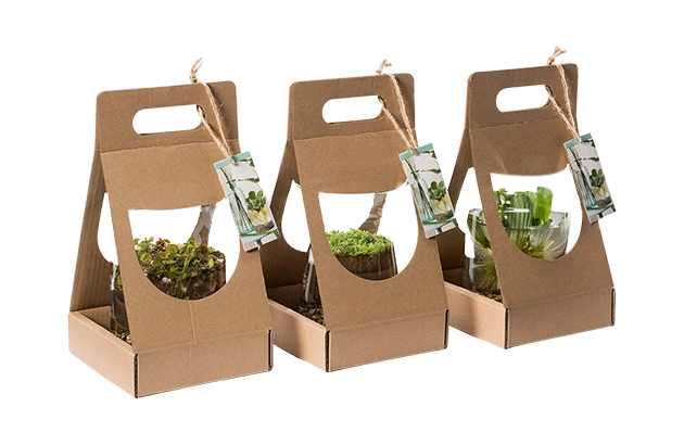 custom plant packaging boxes wholesale