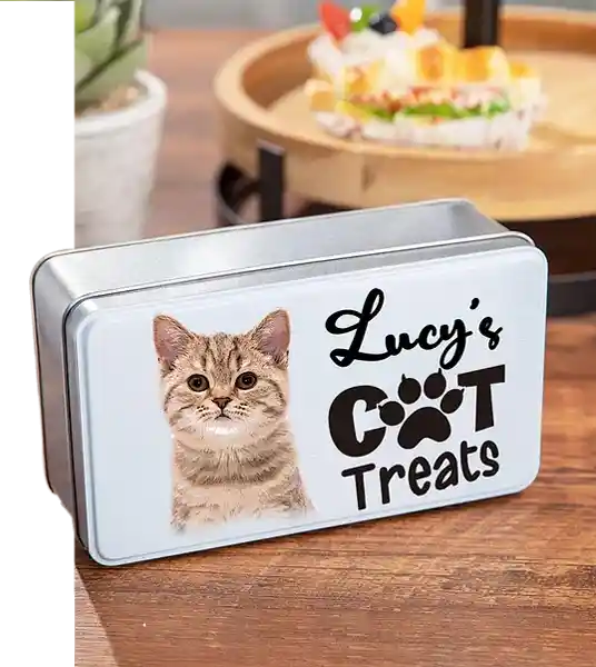 Custom Printed Cat Treat Tins