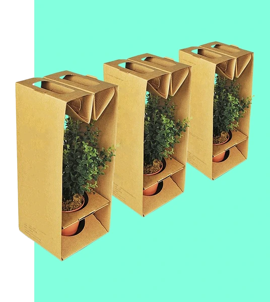 custom printed plant packaging boxes