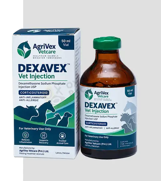 Veterinary Medicine Boxes bulk