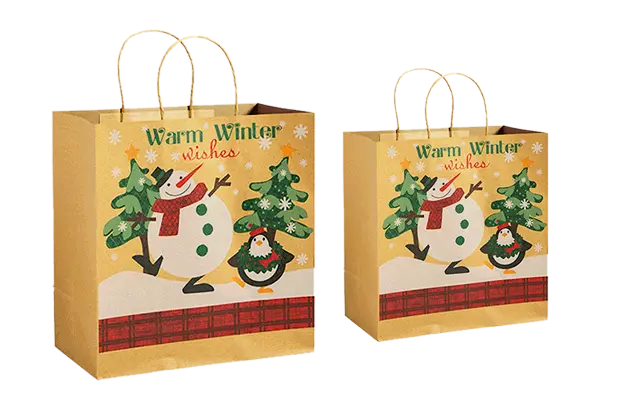 Customized Paper Packaging Bags