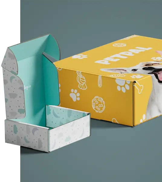 Printed Colored Mailer Boxes