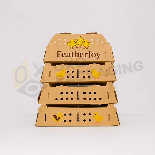 chick boxes in bulk order