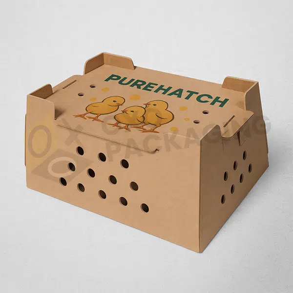 chick boxes in usa