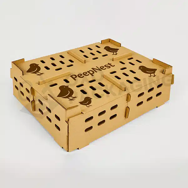 chick boxes wholesale