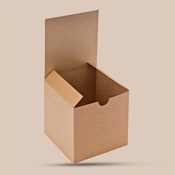 Custom Kraft Tuck Top Packaging