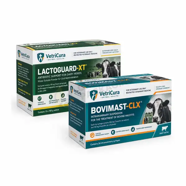 Custom Veterinary Medicine Boxes