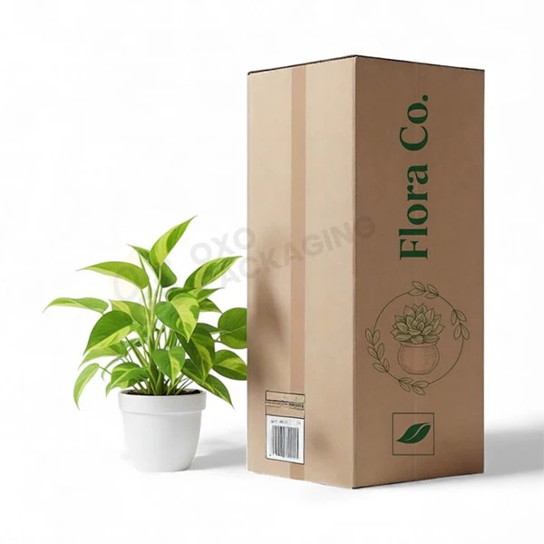 plant-packaging-boxes-in-bulk