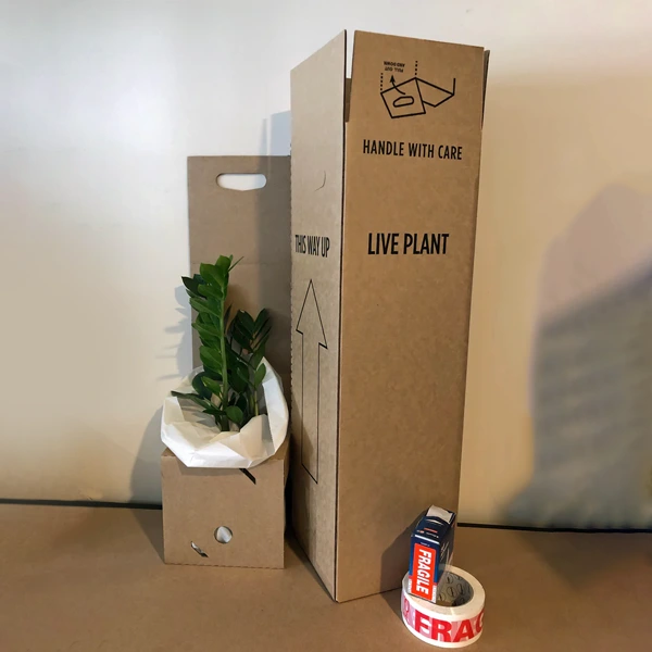 plant packaging boxes