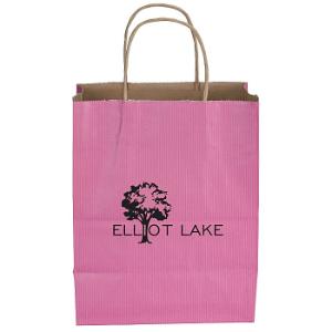 Gift Bag Packaging Solutions