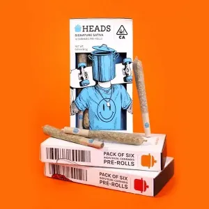 bulk pre roll boxes